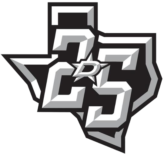 Dallas Stars 2017 Anniversary Logo DIY iron on transfer (heat transfer)